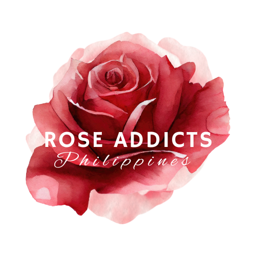 Rose Addicts Philippines